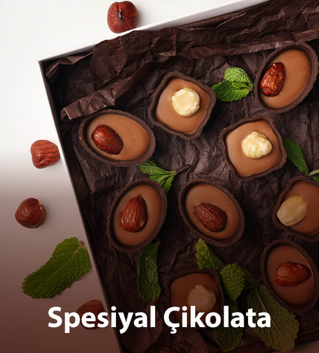 Spesiyal Çikolata